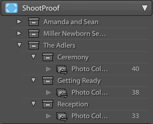 Screenshot of the ShootProof Lightroom Plugin's gallery and album structure