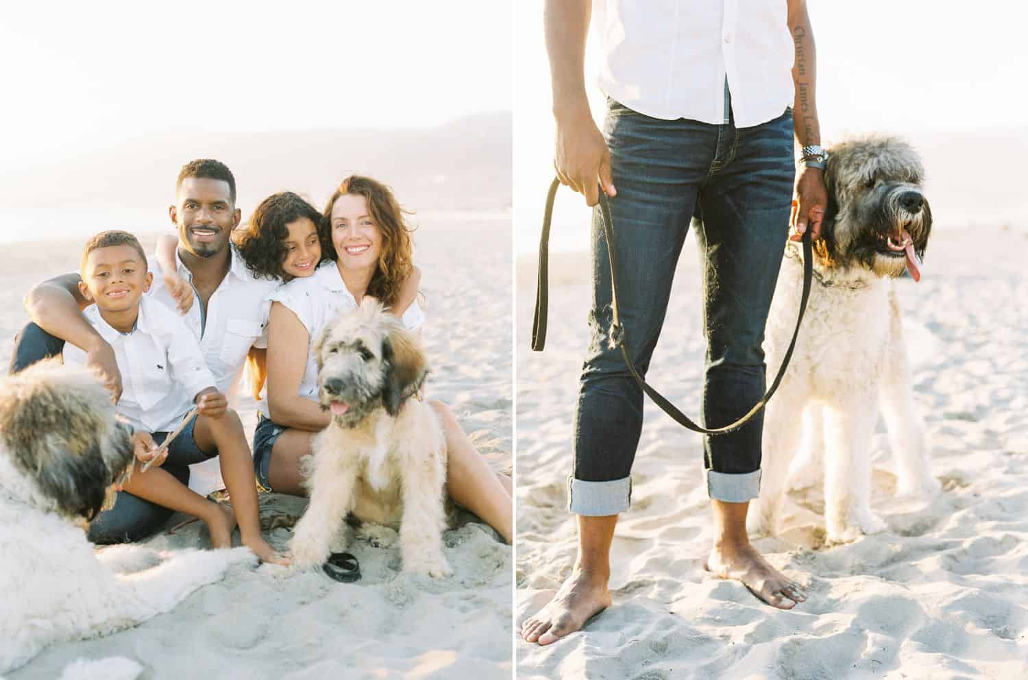 A family sits in the sand on the beach snuggling close. A dog is held close on the beach by a leash.