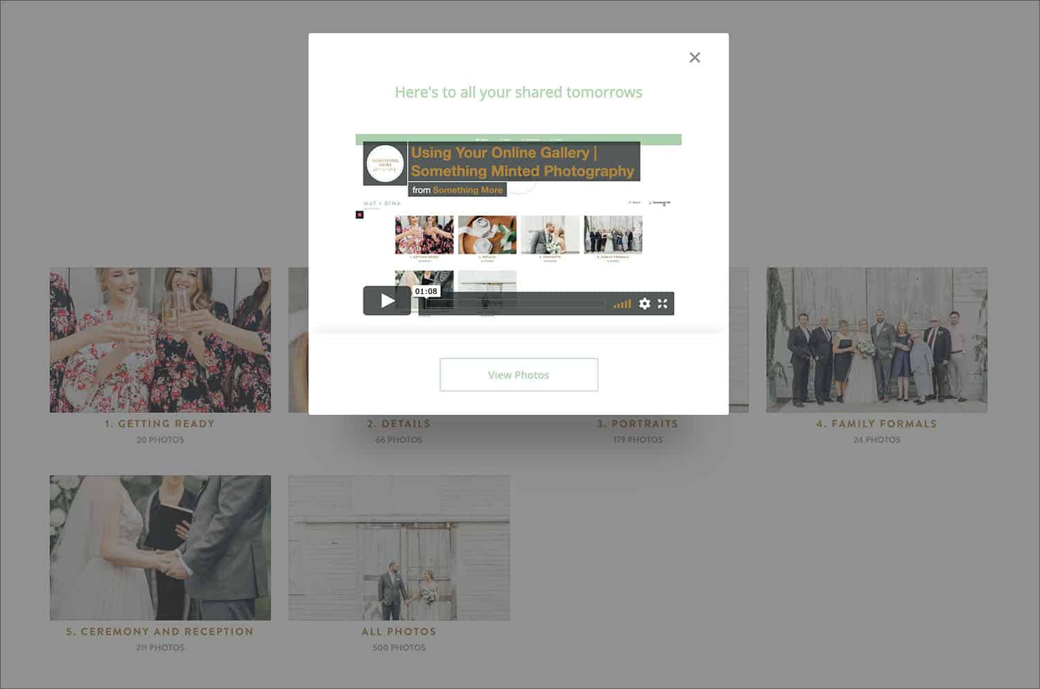 Here, Shelby Schmidt embeds her customized ShootProof gallery tour into her client's gallery homepage