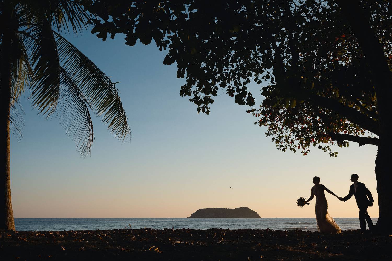 A photograph by Kevin Heslin depicts the sillhouettes of newlyweds through palm trees as they walk along a beach at sunset.