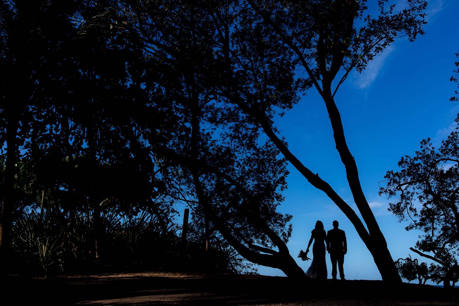 In this photo by Kevin Heslin a wedding couple is silhouetted by a deep blue sky as they pose between overgrown trees on a beach.