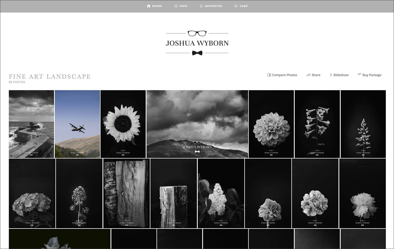 A screenshot of Joshua Wyborn's ShootProof gallery where he sells his fine art prints online.