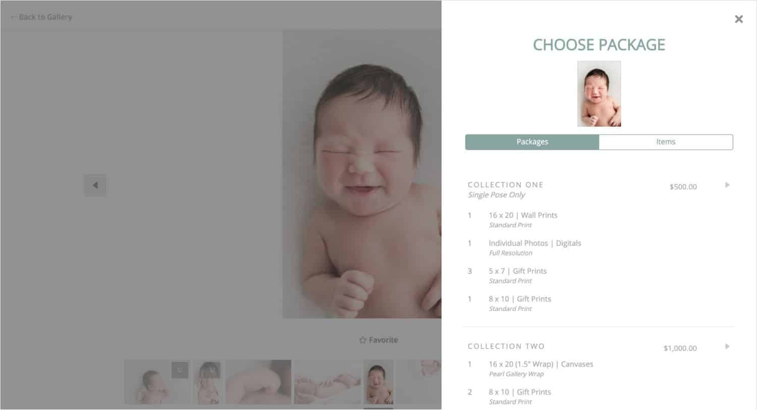 Alison Winterroth's clients can select and customize their own photography packages through ShootProof's Package Builder.