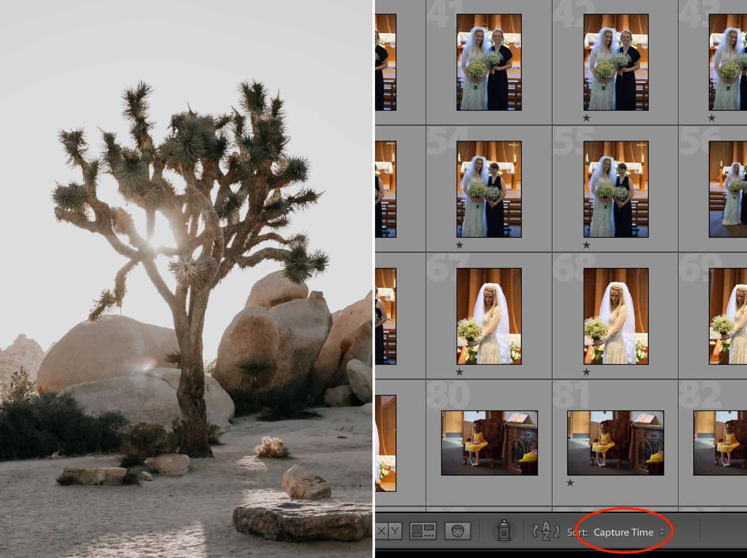 WATCH: How To Get ShootProof Favorites Into Lightroom