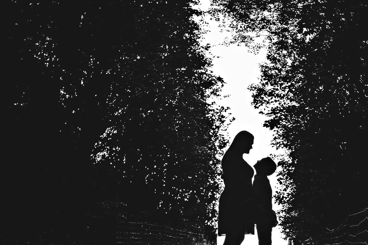 Black and white silhouette of a pregnant mom looking down at her young son. They stand against a white sky, surrounded by large trees.